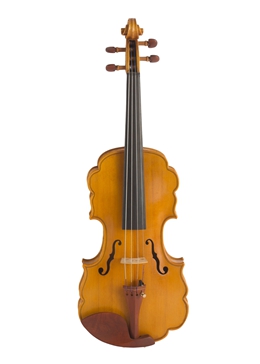 Laciness violin