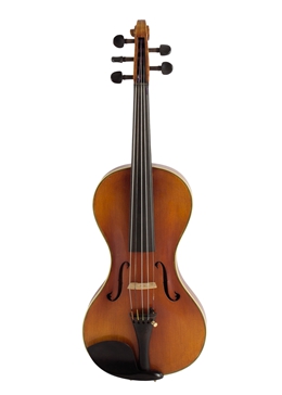 5 strings violin,guitar serging,special bird F hole